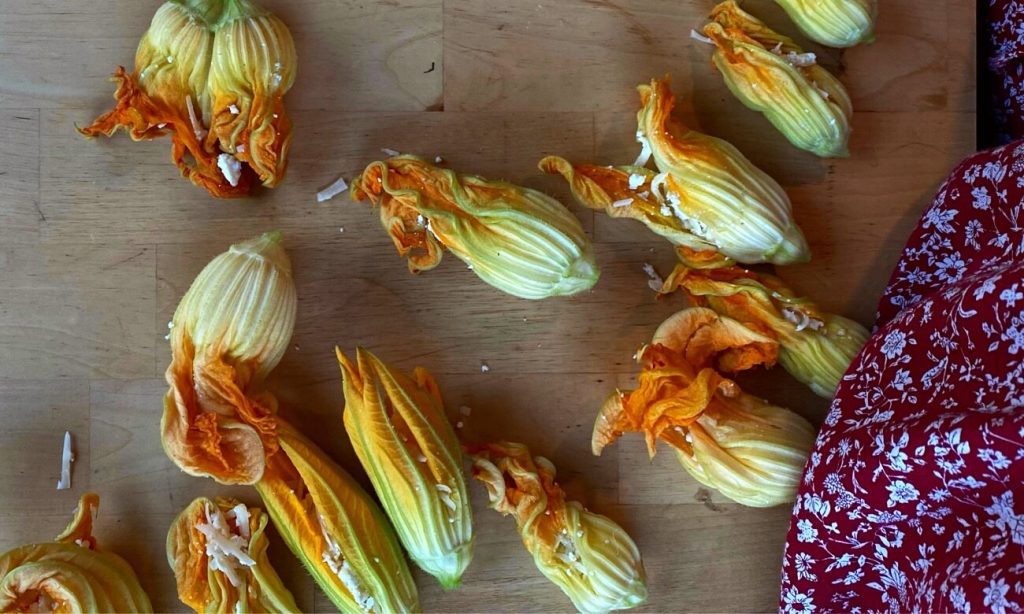 Fiori di zucca fiori di zucca